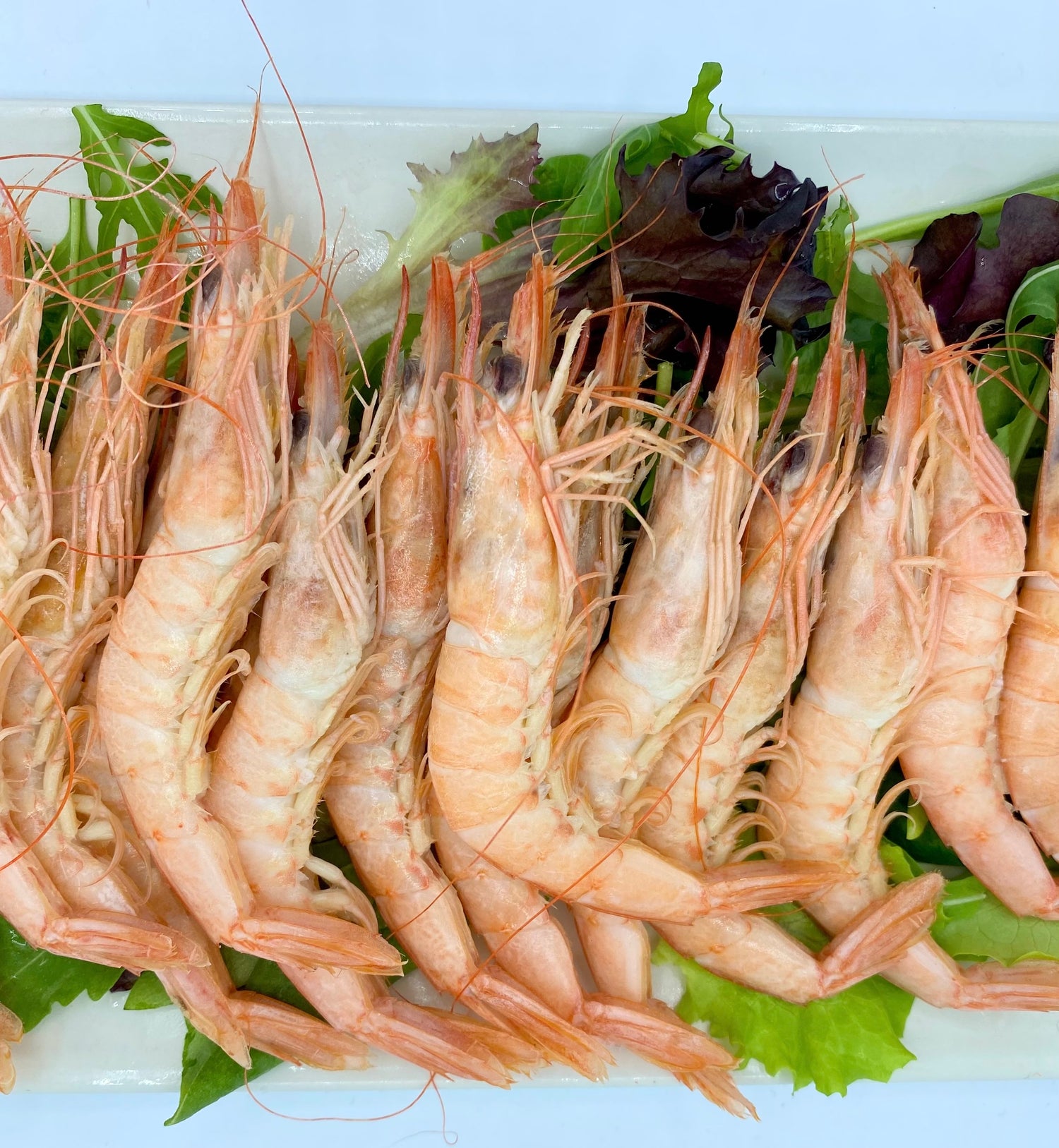 Gambas cocidas a domicilio